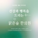 숲속이레한의원 | 소양증한의원 가려움증, 약침 맞고 멈춘 후기