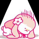 강다짐 이미지