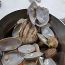 부석회센타 이미지