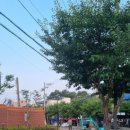 대명중기 이미지