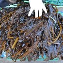 삼척번개시장 이미지