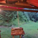 하이디코리아 이미지