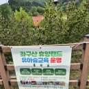 종암36 | 증평 별천지숲인성학교 예약 숲패키지 (숲체험 물감놀이 자유놀이)