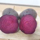 김용근 농장 이미지