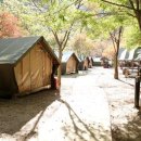 소백산 남천야영장2 이미지