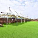 레오나르독 이미지