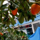 꺽쇠한우 이미지