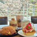 충청남도 천안시 동남구청(본관) | 천안 목천 근처 카페 한옥 벚꽃 뷰 북면 인주카페 풍경점