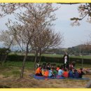 대지초등학교 이미지