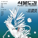 식물도감 이미지