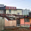 철가방반점 | 북면 중국집 맛집 발견! 태양반점 솔직 방문 후기 🍜