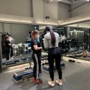 페르소나 피티샵 이미지