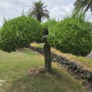 뉴한신공인중개사사무소 이미지