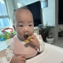 베베가든