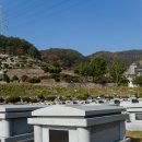 효천묘지이장공사