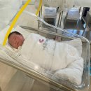 라하(RAHA) 이미지