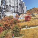 갈현1-020 이미지