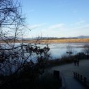 우포늪 자전거 대여소 이미지