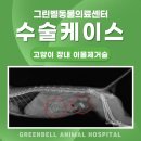 금왕동물병원 이미지