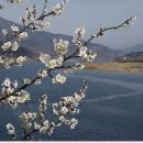 사계절 네이버블로그