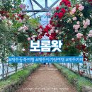 보롬왓 | 제주 아기랑 동쪽 여행지 가볼만한 곳 보롬왓 카페 방문 후기