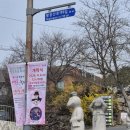 은해사 벚꽃길 | 대구가볼만한곳 팔공산케이블카 요금할인 뚜벅이가는법 주차