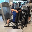 렛풀다운, 인아웃타이, 펙덱플라이 , 입식좌식 각1대씩 사이클 판매합니다 이미지