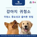 씽씽 동물의료센터 이미지