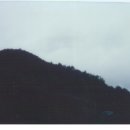 청송목장 이미지