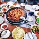 모가쭈꾸미