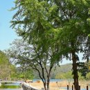 저수지어린이놀이터 이미지