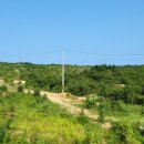 고성사랑부동산 공인중개사사무소 이미지