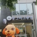 더문 동물병원 네이버블로그