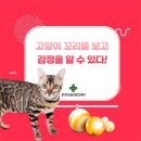소통동물병원 이미지
