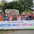 화곡본동 이미지