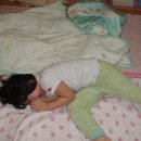 나홀로캠프 이미지