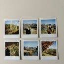 풍유 | 2025년 11월 가을의 사유원