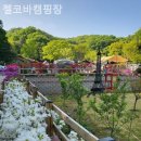 송주농장 | [용인/캠핑장/글램핑] 젤코바캠핑장 글램핑 못지않은 감성 캠핑 체험