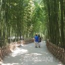 ㈜대한관광여행사 이미지