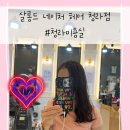 청라헤어샵 살롱드네이처헤어 컷트, 염색 후기