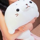 (주)바디로 이미지