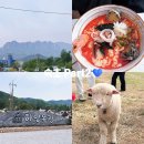선우목장 | [속초]1박2일 속초 여행 Part2💙l 옛고을 순두부ㅣ하양목장