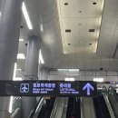 오로지 금목서를 보러 부산 당일치기한 후기