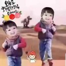 D16 이미지