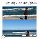 라라샵 중앙점 | 강릉여행 후기 1일차 중앙시장·소품샵·맛집 코스 정리