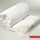 진할인마트 이미지