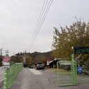 힐링가평오토캠핑장 | 힐링 가평오토캠핑장 리얼 후기 (feat: 하남 근교 캠핑장 후기)