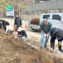 양구읍 비봉초등학교 강원일보