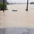 금산-50 이미지