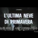 L&#39;ultima never di primavera(영화 &#39;눈꽃 위에 핀 사랑&#39; ost) 중주 ((with 더오카님)) 이미지